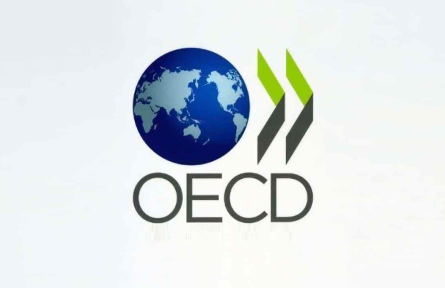 Недопущення обходу санкцій росіянами: ОЕСР підтримала ініціативу БЕБ по створенню робочої групи