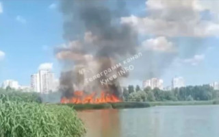В Киеве на озере Вырлица вспыхнул пожар