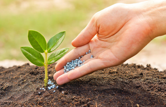 Кабмін знову заборонив експорт добрив з України