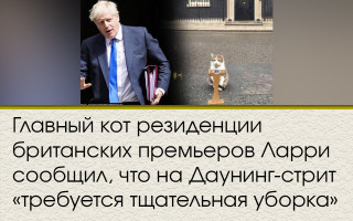 Главный кот резиденции британских премьеров Ларри сообщил, что на Даунинг-стрит «требуется тщательная уборка»