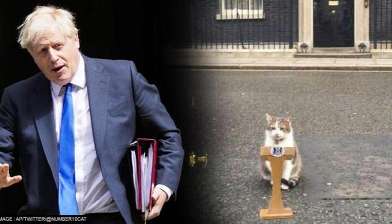 Главный кот резиденции британских премьеров Ларри сообщил, что на Даунинг-стрит «требуется тщательная уборка»