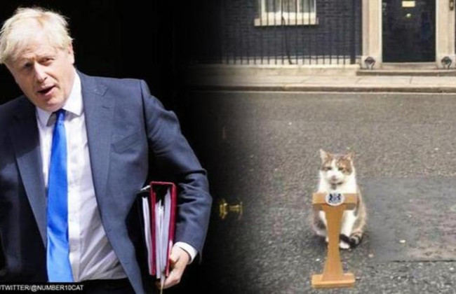 Главный кот резиденции британских премьеров Ларри сообщил, что на Даунинг-стрит «требуется тщательная уборка»