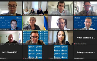 Експерти ОЕСР долучаться до доопрацювання проекту Плану відновлення України по питаннях, які вже включені до документу