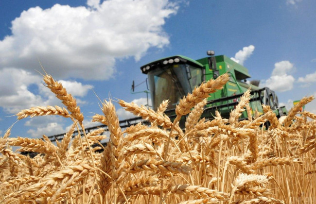 «Зерновые» переговоры: Генсек ООН сделает заявление