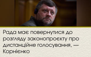 Рада має повернутися до розгляду законопроєкту про дистанційне голосування, — Корнієнко