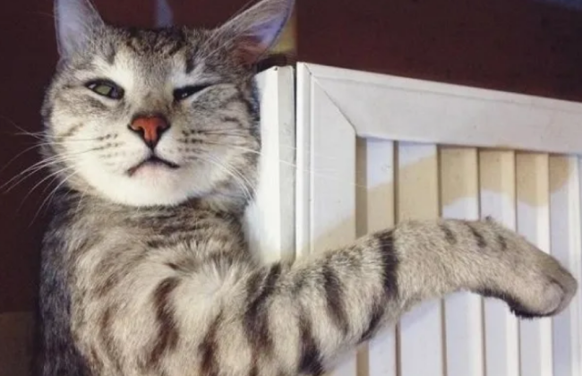 У Мінрегіоні повідомили, від яких складових залежить опалювальний сезон