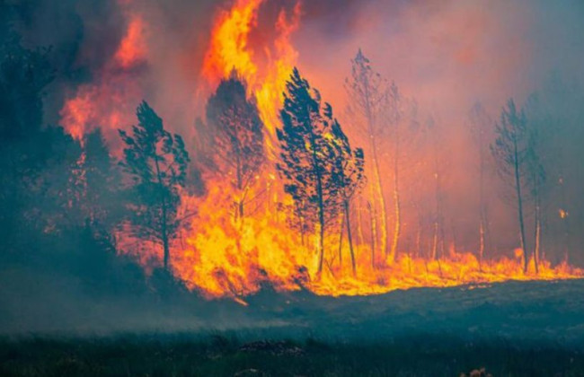Європа потерпає від аномальної спеки, у деяких регіонах вирують пожежі