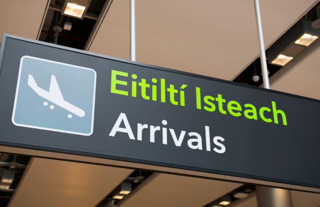 Ірландія призупинила безвіз для біженців із 20 країн Європи, щоб звільнити місце для українців