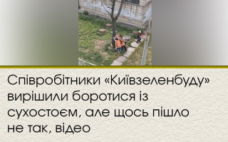 Співробітники «Київзеленбуду» вирішили боротися із сухостоєм, але щось пішло не так, відео