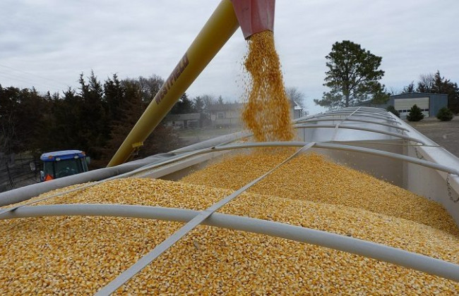 Deutsche Bahn перевозитиме українське зерно до портів у Німеччині