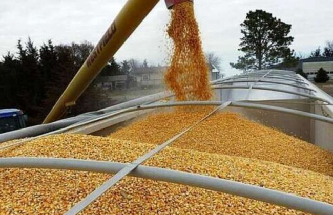 Возобновление экспорта украинского зерна: комментарий спикера МИД Украины о переговорах в Турции