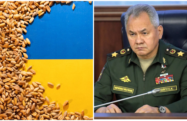 Відновлення експорту українського зерна: Шойгу прибув до Стамбула для підписання угоди
