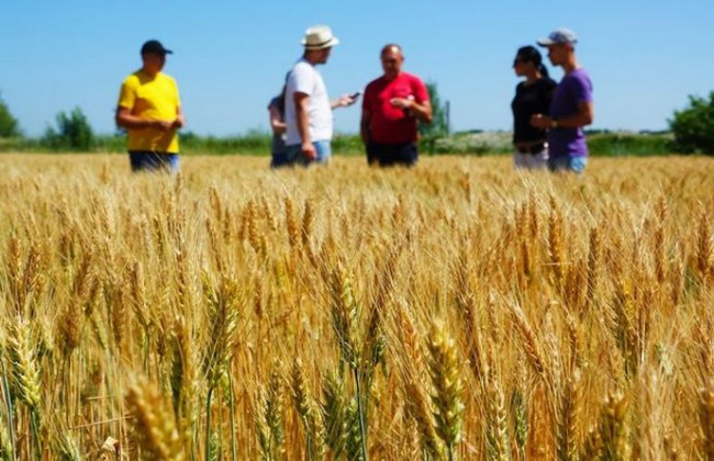 Уряд спростив процедури оформлення карантинного та фітосанітарного сертифіката для зниження бюрократичного навантаження на аграріїв