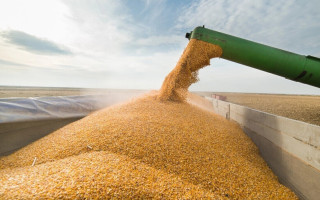 Удар РФ по Одеському порту: експортувати зерно буде непросто, — Reuters