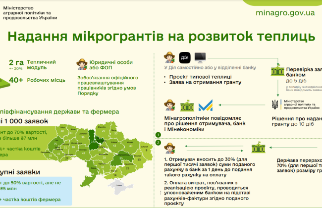 Гранти на теплиці: як подати заявку на створення власної справи