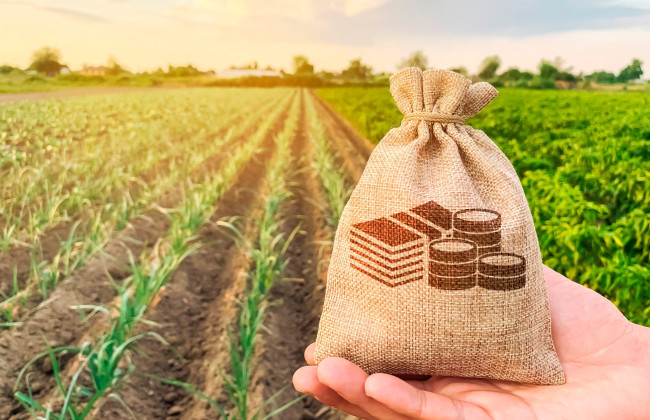 Кабмін вніс до Ради проект щодо правил оподаткування земельних ділянок