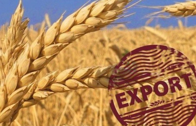 Кабмин отменил квоты и установил лицензирование на экспорт ржи и отдельных удобрений