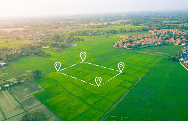 Витяг про нормативну грошову оцінку земельних ділянок с/г призначення формуватиметься автоматично