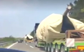 Северная Македония передала Украине танки: появились фото и видео