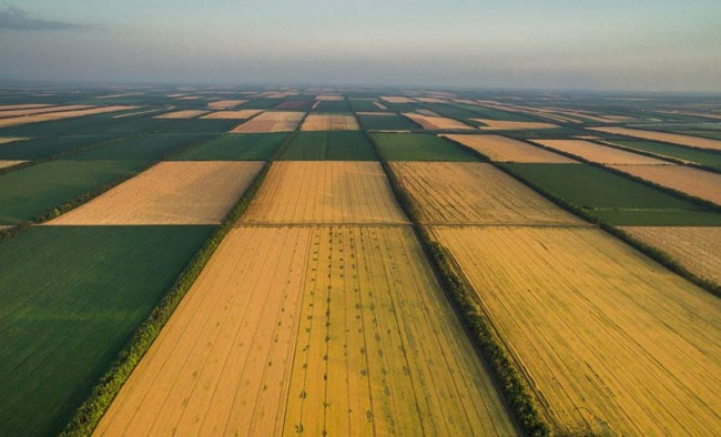 Выписка о нормативной денежной оценке земельных участков с/х назначения будет формироваться автоматически
