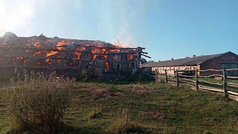 Враг снова обстрелял Сумскую и Черниговскую области: детали