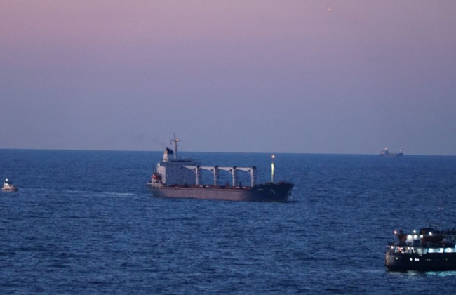 Первое судно с украинским продовольствием прибыло в Стамбул, фото