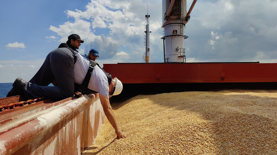 Українське судно із зерном пройшло інспекцію у Стамбулі: куди далі, фото
