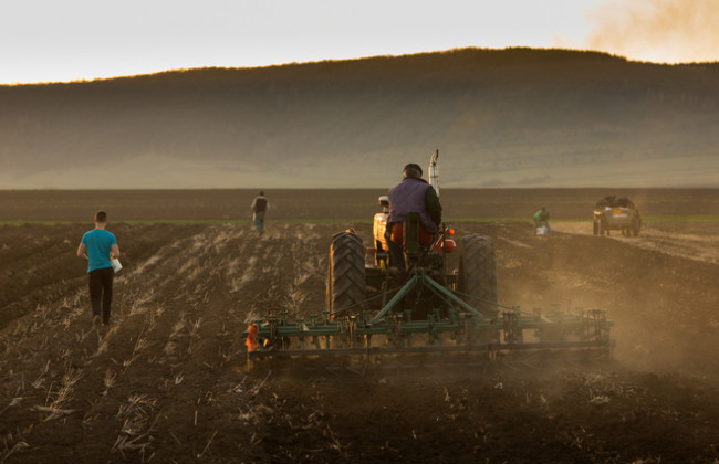 Какие изменения внесены в закон об аренде земли антирейдерским законом: разъяснение