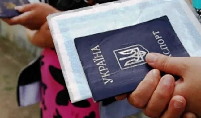 Справка ВПЛ: какая процедура получения, инфографика