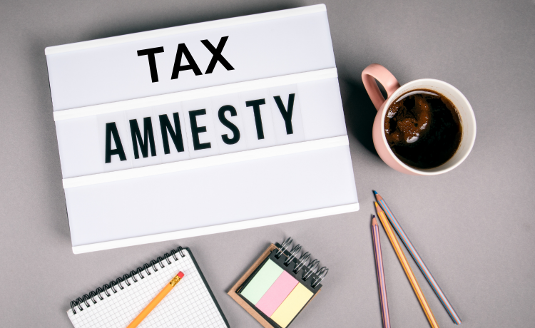 Налоговая амнистия: вернут ли сумму уплаченного сбора, если декларация не принята из-за неполной уплаты