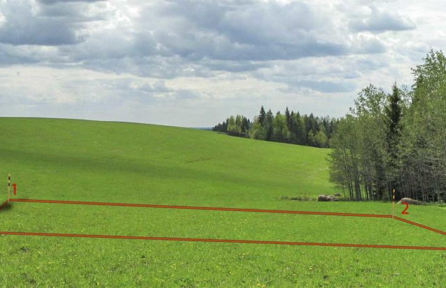 КЦС ВС вказав на способи захисту права, порушеного внаслідок незаконного вилучення та пошкодження земельної ділянки