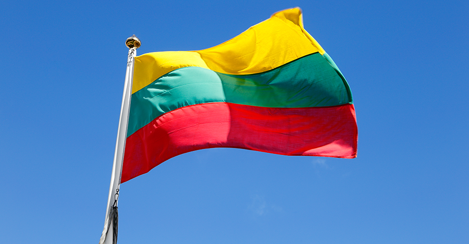 У Литві пропонують позбавляти іноземців громадянства за підтримку агресорів