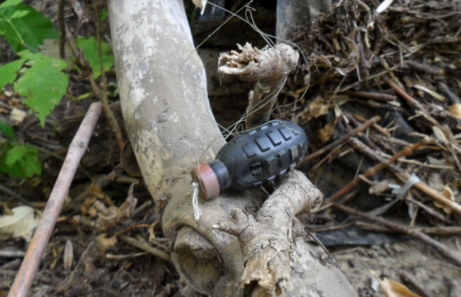 На Чернігівщині жінка пішла по гриби й підірвалася на ворожій «розтяжці»