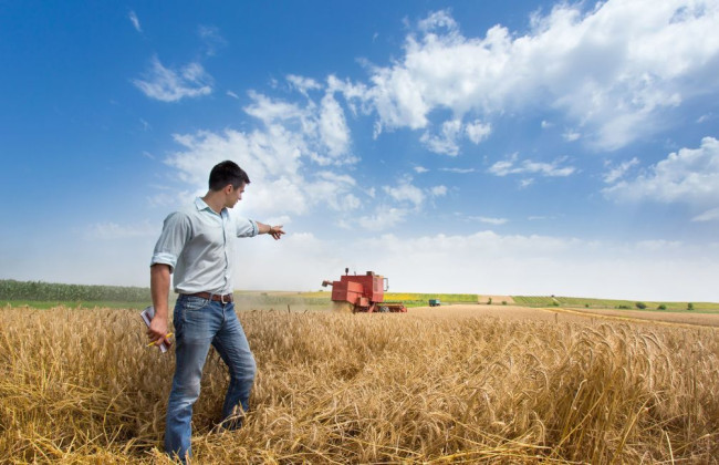 «Дія» для аграриев: запустили онлайн платформу для поддержки фермеров