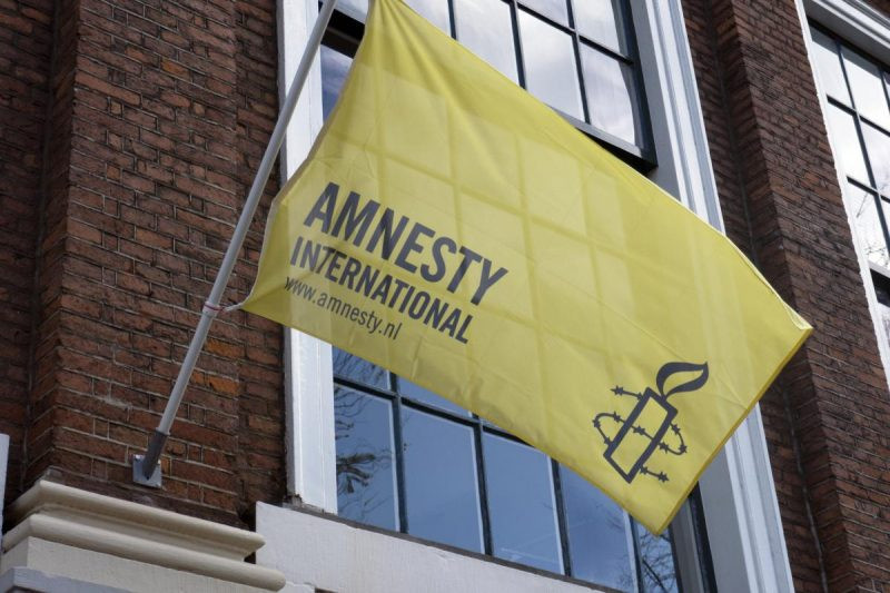 Отчет Amnesty International о «нарушениях» ВСУ проверят независимые эксперты