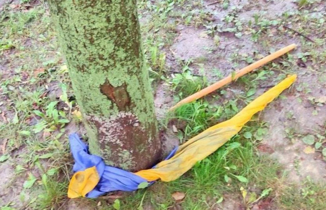 В Ровно мужчина порвал и потоптал украинский флаг