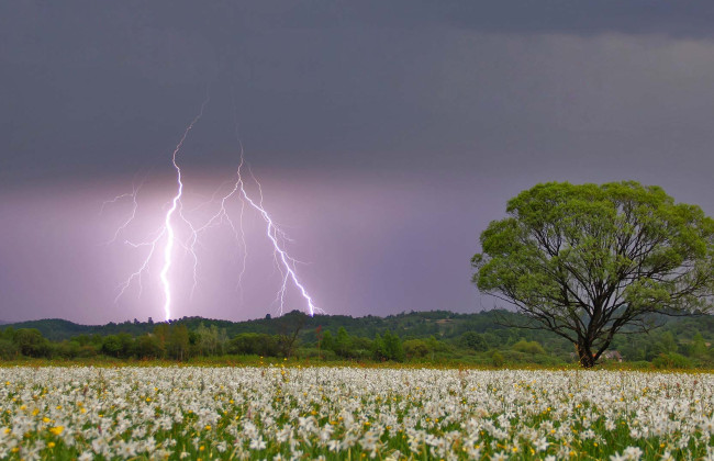 137 га земли на Закарпатье включат в состав природоохранных территорий Украины