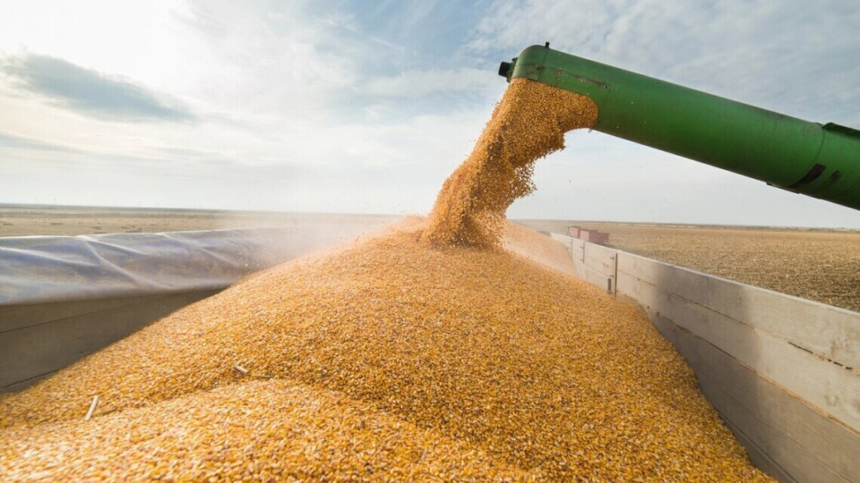 Завладение зерном на сумму почти 15 млн грн: следствие завершено