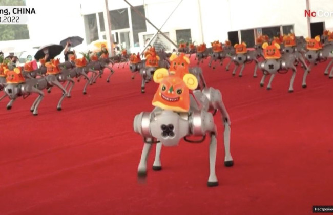 Сто роботов-собак станцевали в Пекине перед гостями Всемирной конференции робототехники, видео