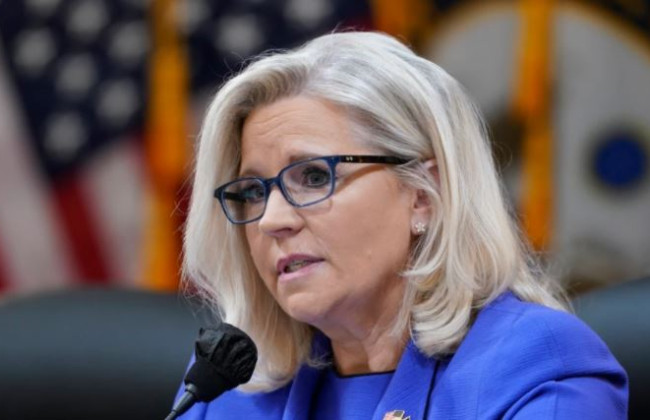 Дочь бывшего вице-президента Лиз Чейни может стать кандидатом в президенты США