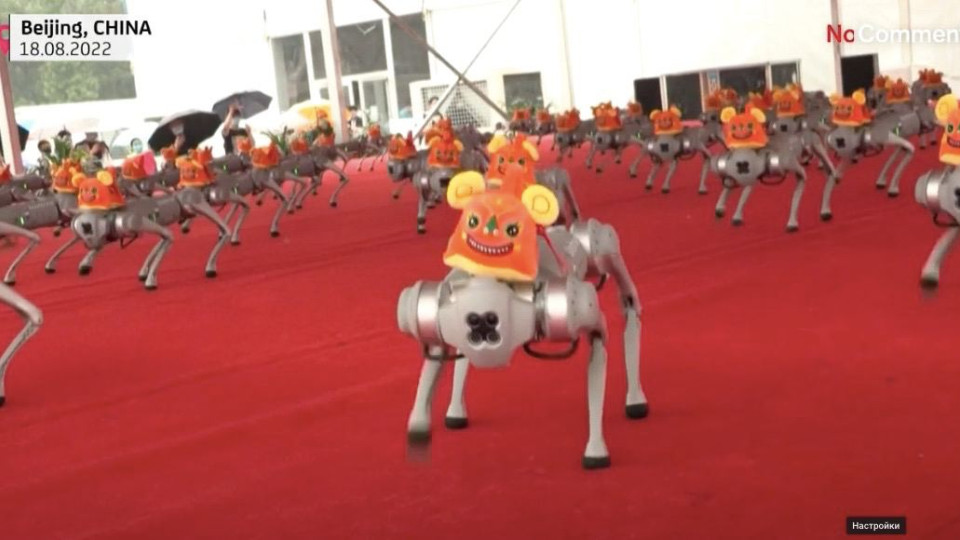 Сто роботов-собак станцевали в Пекине перед гостями Всемирной конференции робототехники, видео