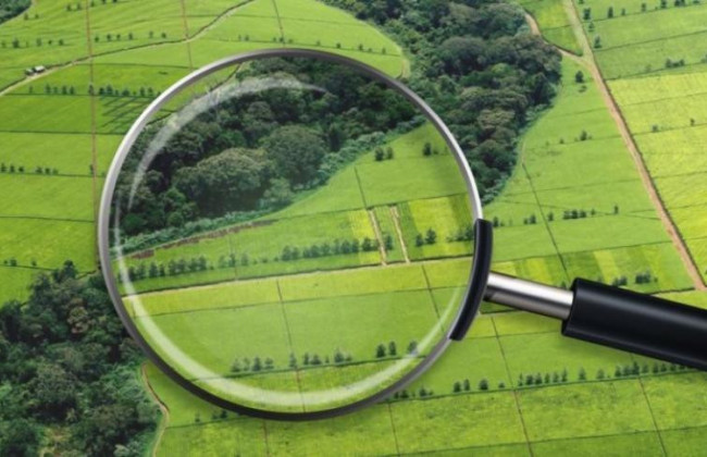 Правові наслідки нездійснення держреєстрації права комунальної власності на земельну ділянку: постанова КГС ВС