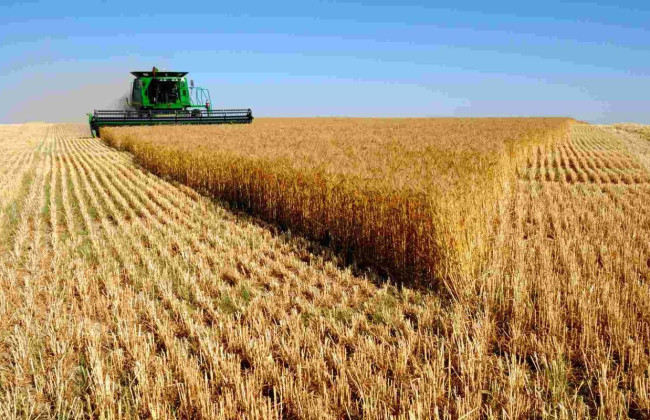 Правовий режим майна подружжя на частку в статутному капіталі фермерського господарства: ​​висновок ВС