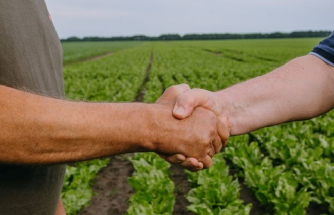 Внесены изменения в Типовой договор аренды земли