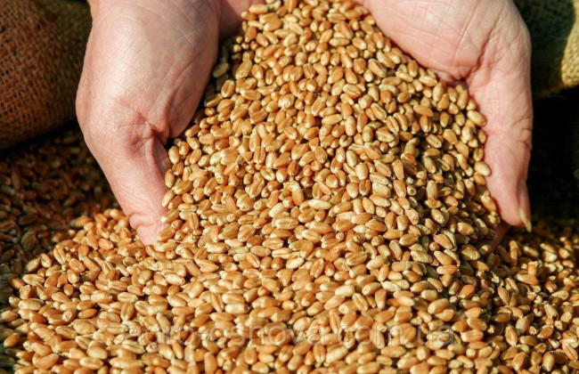 Вывоз украденного украинского зерна из Крыма: суд арестовал шесть судов-нарушителей