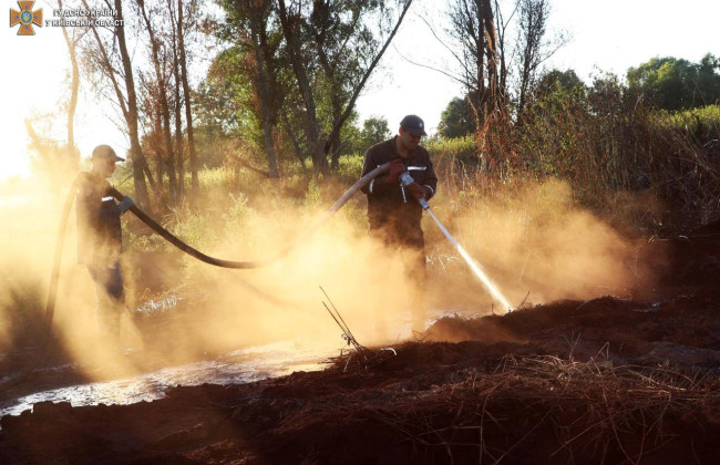 Под Киевом горят торфяники: где продолжается ликвидация возгораний