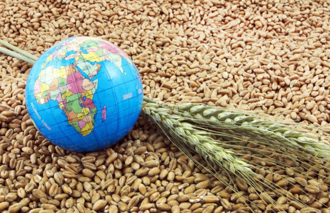 Греция стала одним из ключевых экспортеров зерна из Украины, — СМИ