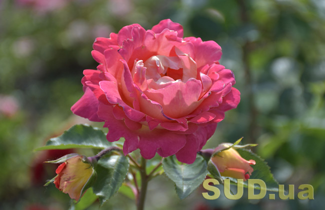 5 вересня: яке сьогодні свято та основні події