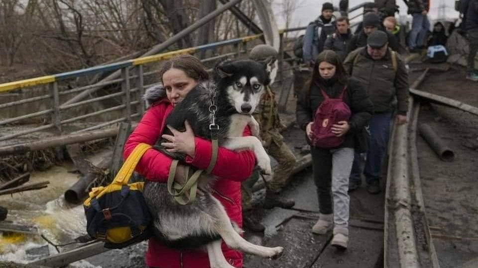 В «Слуге народа» предлагают эвакуировать семьи военнослужащих из районов, где могут происходить боевые действия