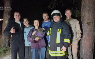 На Київщині бійці ДСНС зняли з дерева жінку, яка намагалася врятувати кота, фото